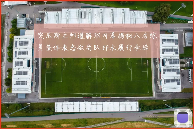 突尼斯主帅遭解职内幕揭秘八名球员集体表态欲离队却未履行承诺