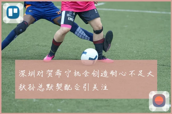 深圳对贺希宁机会创造耐心不足大秋孙总默契配合引关注