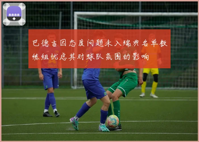 巴德吉因态度问题未入瑞典名单教练组忧虑其对球队氛围的影响